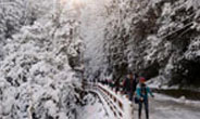 Shimla Tour Package