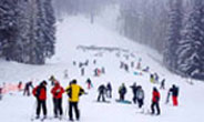 Shimla Holiday Packages